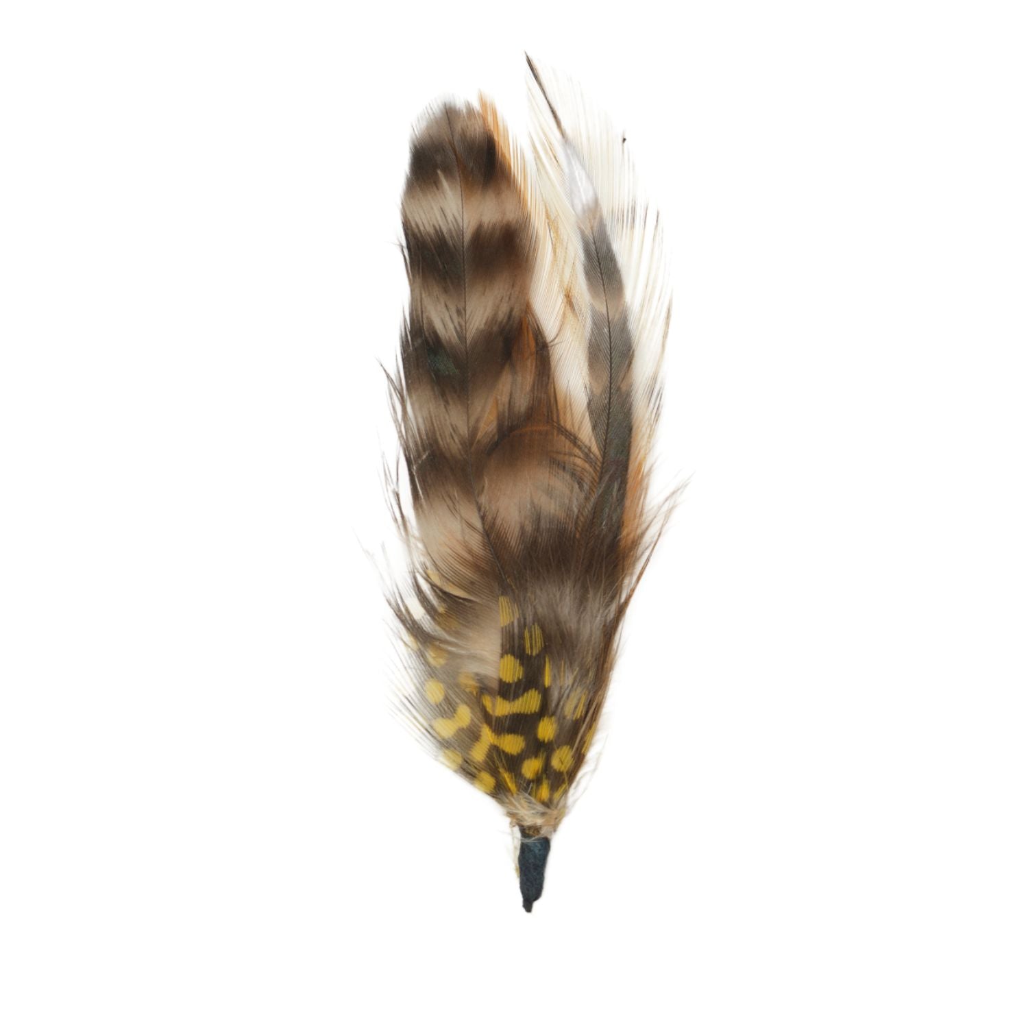 【if you have/Feather Hat】 Amazon.com: Eric Javits Invincible Winter Puffer Bucket Hat