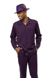Blackberry 2-Piece Solid Long Sleeve Walking Suit