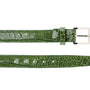 Belvedere Genuine Alligator Dress Belt in Pistachio