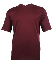 Plum Spandex Short Sleeve V Neck T Shirt