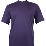 Bradburry Collection: Men's Spandex Short Sleeve V-Neck T-Shirt - Purple