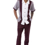 Houndour Collection: Men's Solid Tone on Tone Walking Suit Set In Wine -2424