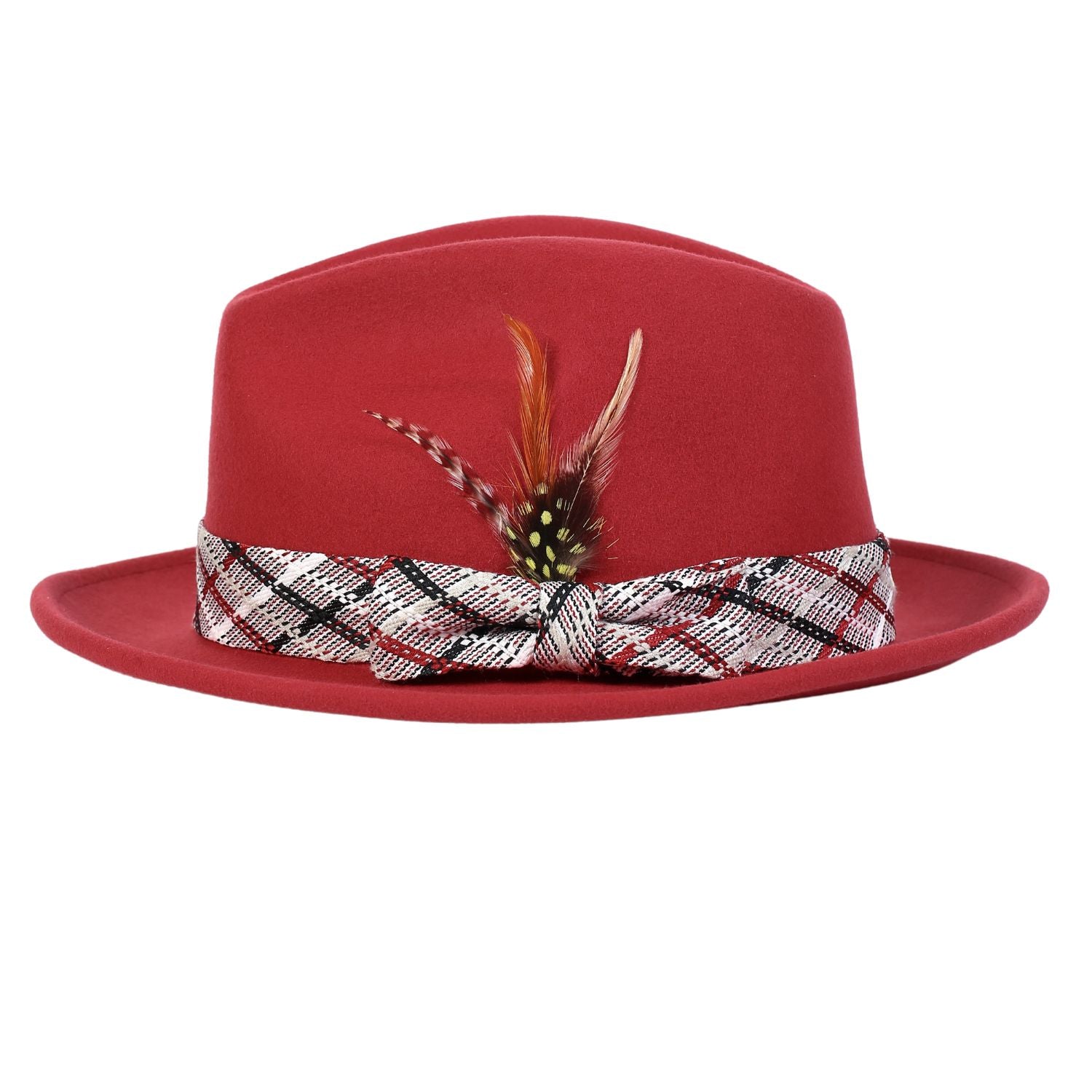 burgundy fedora feather accent close up