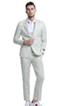 Couturious Collection: 2-Piece Slim Fit Solid Suit For Men In Ivory