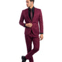 Metropolis Modern Collection: Burgundy Two-Piece Suit – Skinny Fit