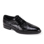 Orion Collection Croco Print Wingtip Lace Shoes - Black