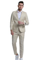 Couturious Collection: 2-Piece Slim Fit Solid Suit For Men In Tan