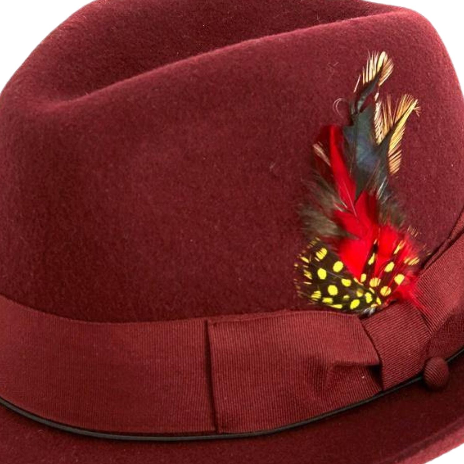 burgundy fine felt fedora with grosgrain ribbon and feather detail