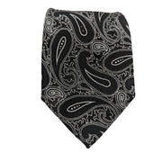 Men's Paisley Design Necktie - Black/Silver