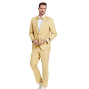 Dijon 2-Piece Skinny Fit Suit by Tazzio - M392SK