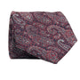 Posh Patterns Collection: Navy and Red Paisley Tie