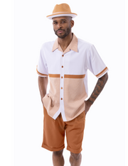 Cognac Houndstooth Horizontal Color Block 2-Piece Short Sleeve Walking Suit Shorts Set