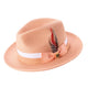 Pelican Collection: Montique Peach Fedora Hat with Two-Tone Grosgrain Ribbon Band and Feather Accent