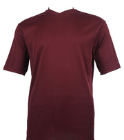 Bradburry Collection: Men's Spandex Short Sleeve V-Neck T-Shirt  - Plum