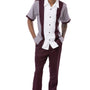 Monochrome Collection: Men's Solid Tone on Tone Walking Suit Set In Wine -2424
