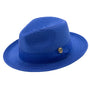 Aurorify Collection: Royal Braided Wide Brim Pinch Fedora Matching Grosgrain Ribbon Hat