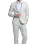 Couturious Collection: 2-Piece Slim Fit Solid Suit For Men In Ivory