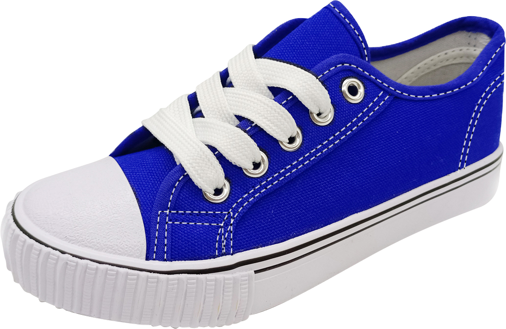 Canvas Shoes Looking For Royal Blue Shoes Women Loee Reach High