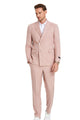 Triumph Collection: Men's Pinstripe 3-Piece Slim Fit Suit In Rose