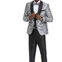 Exquisite Collection: Men's Paisley Shawl Collar 3-Pc Suit In Silver/Black- Slim Fit