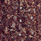 Close-up of the brown shirt showing the abstract print and textured linen blend fabric.