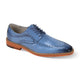 Garrion Collection: Men's Light Blue Moc Toe Lace-Up Shoe with Coco Print and Smooth Leather Upper