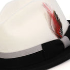 side view black-white fedora with red feather