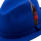 royal fedora hat with feather accent