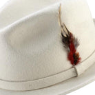winter white fedora hat with feather accent