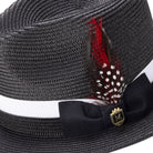 Side view black fedora hat with feather accent and ribbon band