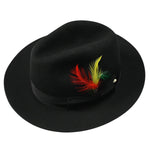 Alcor Collection: Untouchable Black Fedora with Colorful Feather Accents