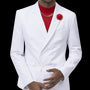 White Two Piece Regular Fit Fashion Suit M2772